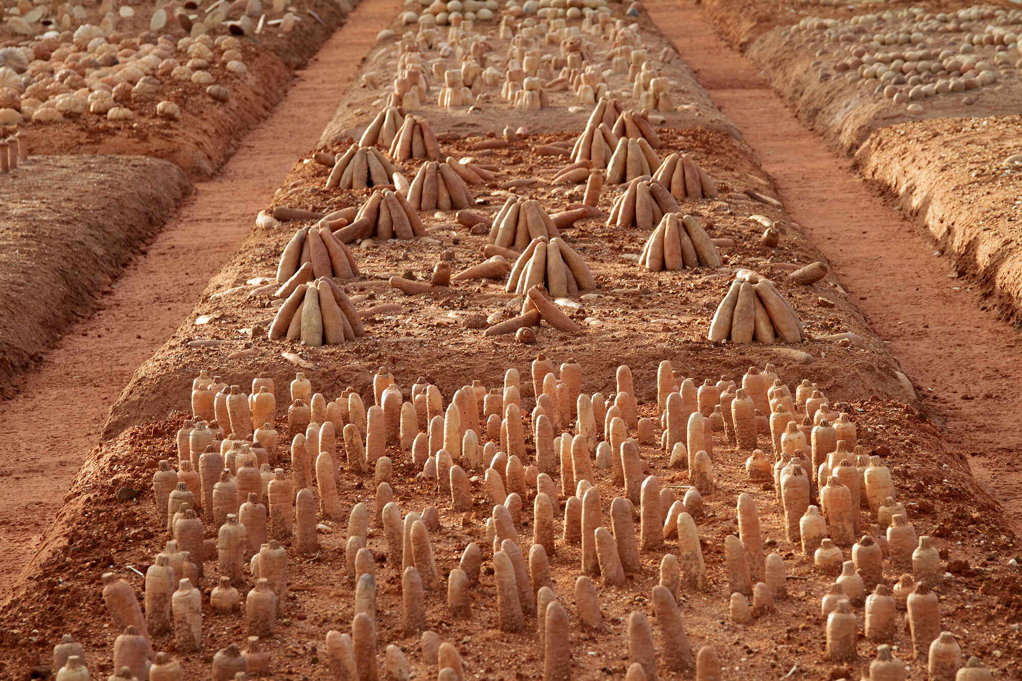 Matheus Rocha Pitta, A field of hunger, 2019/2022. Concrete/clay, 720 m²